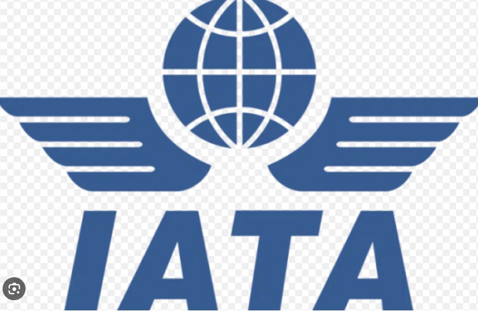 Logo 6